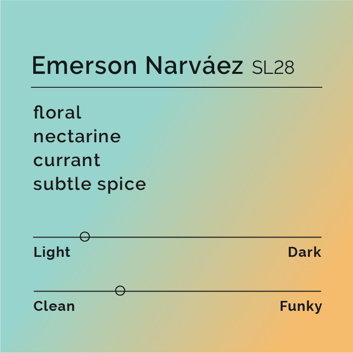 Emerson Narváez SL28