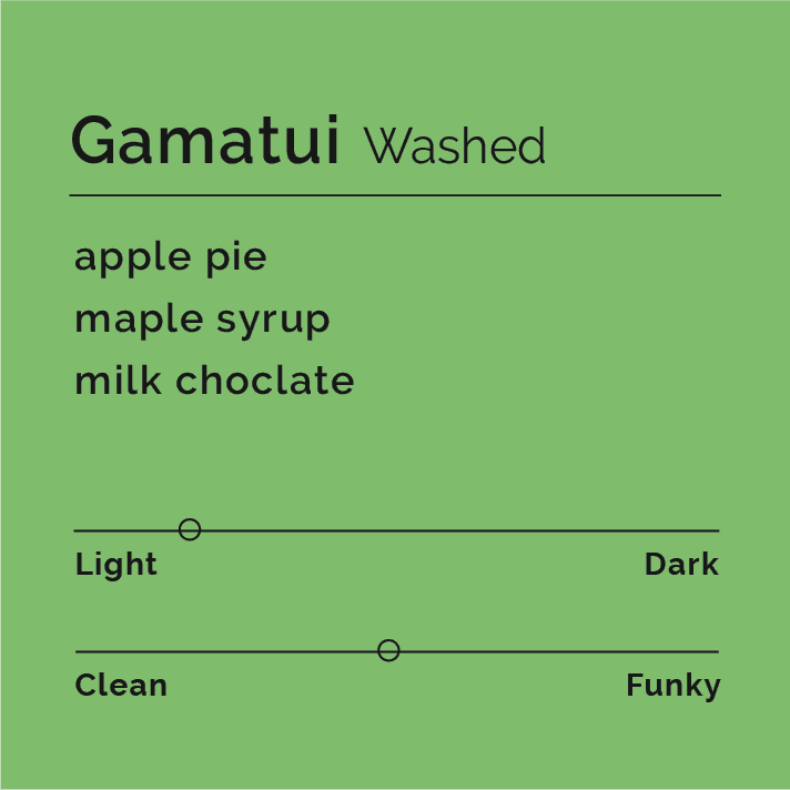 Gamatui Washed