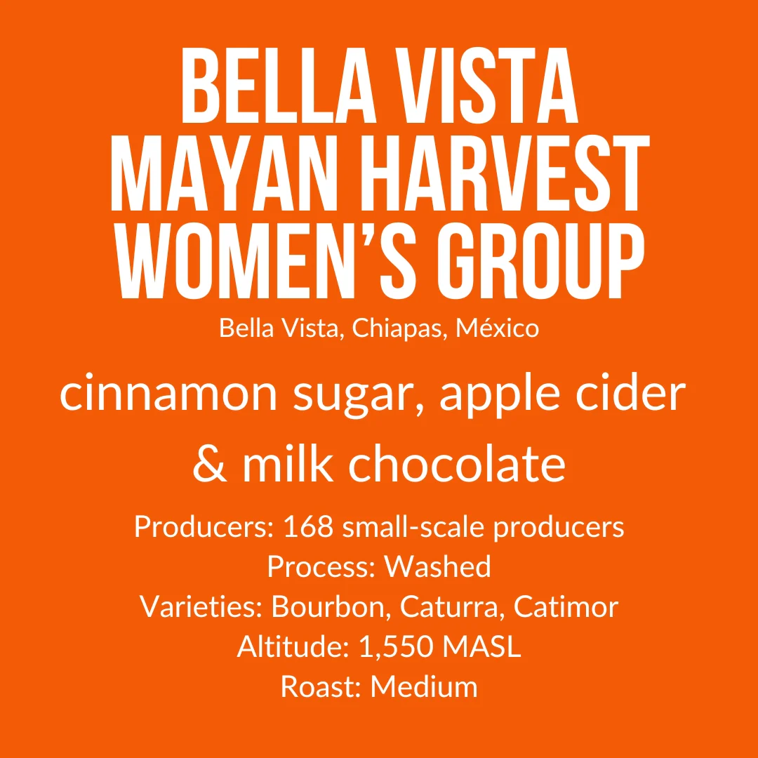 Bella Vista Mayan Harvest Women's Group, Mexico