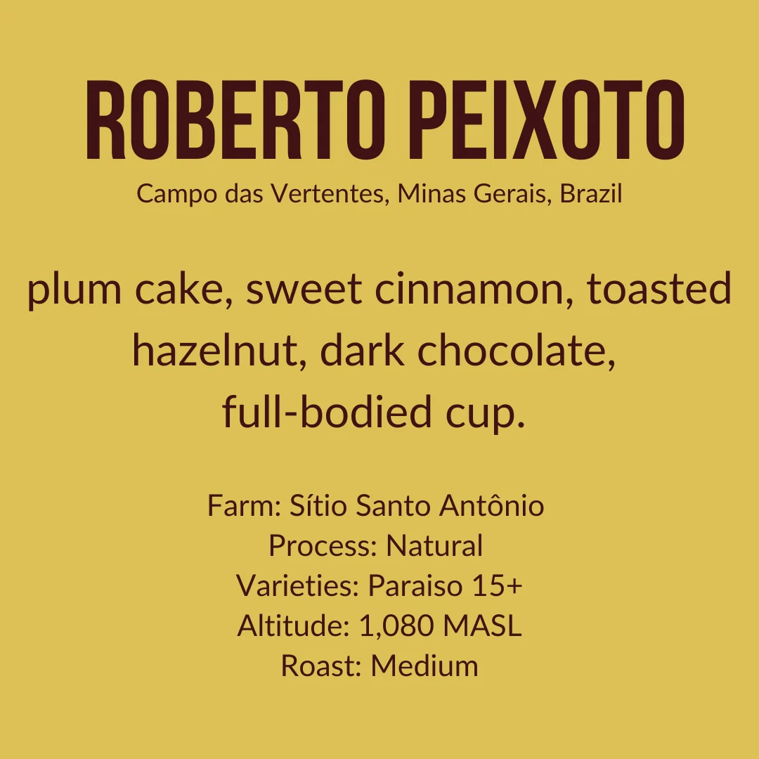 Roberto Peixoto, Brazil