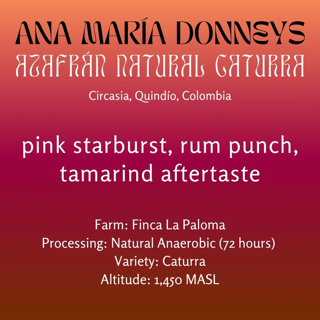 Ana María Donneys, Azafrán Natural Caturra